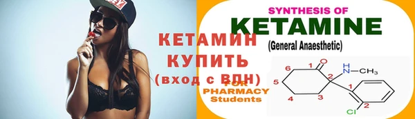 хмурый Болотное